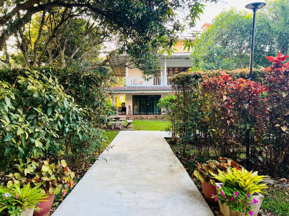 Jardin De Mangue Pakchong Hotel Eksteriør billede
