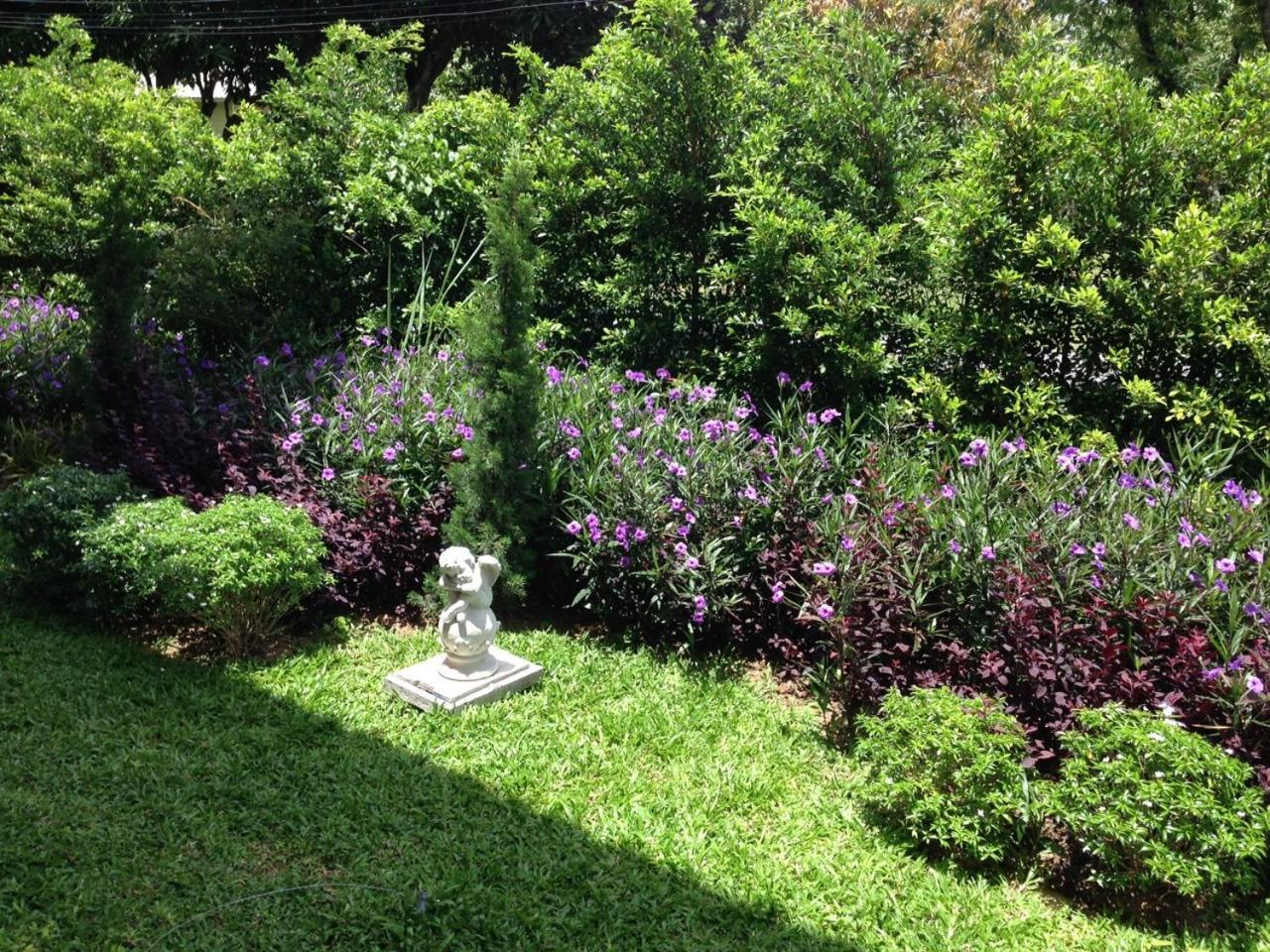 Jardin De Mangue Pakchong Hotel Værelse billede