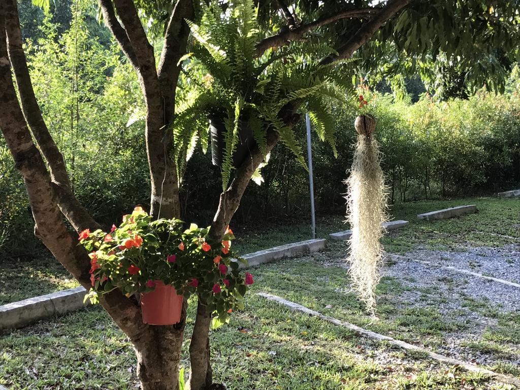 Jardin De Mangue Pakchong Hotel Eksteriør billede
